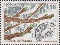 Branch of a Chestnut Tree in Winter
