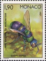 Wasp