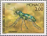 Green Tiger Beetle (Cicindela campestris)