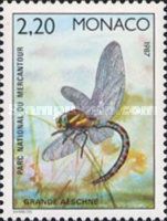 Brown Hawker (Aeshna grandis)