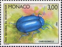 Leaf beetle
