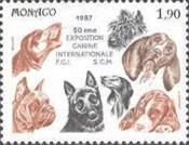 Different Dog Breeds (Canis lupus familiaris)