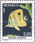 Copperband Butterflyfish (Chelmon rostratus)