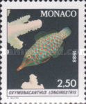 Harlequin Filefish (Oxymonacanthus longirostris)
