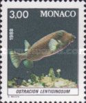 White-spotted Boxfish (Ostracion lentiginosus )