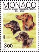 European Dachshund Show, Monte Carlo