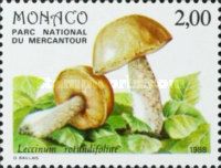 Rough-stemmed Bolete