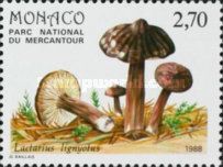 Lactarius lignyotus