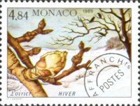 Branch of a Pear Tree in Winter
