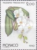 Phalaenopsis Princess Grace