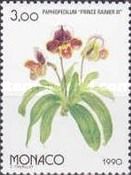 Paphiopedilum Prince Rainier III