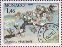 Branch of a Plum Tree in Spring