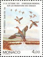 Garganey (Anas querquedula)
