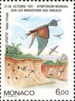 European Bee-eater (Merops apiaster)