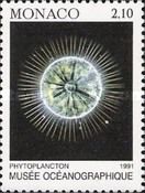 Marine-Protection: Phytoplankton