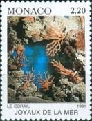Part of a Coral Reef