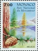 Larch or Meleze