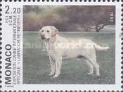 Labrador Retriever (Canis lupus familiaris)