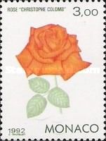 Rose 'Christophe Colomb'