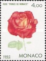 Rose 'Prince de Monaco'
