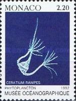 Ceratium ranipes