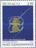 Ceratium hexacanthum