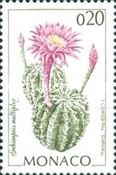 Echinopsis multiplex