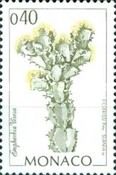 Euphorbia virosa