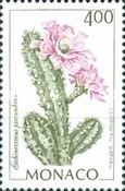 Echinocereus procumbens