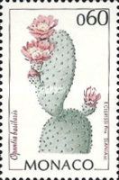 Opuntia basilaris