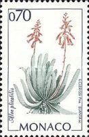 Aloe plicatilis
