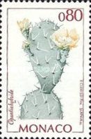 Opuntia hybride