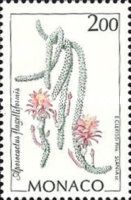 Aporocactus flagelliformis