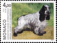 English Cocker Spaniel (Canis lupus familiaris)