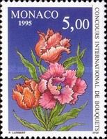 Parrot Tulips