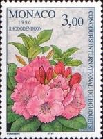 Rhododendron