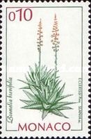 Bromelia brevifolia