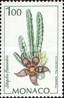 Stapella flavirostris