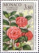Camellia 'Double Rouge'