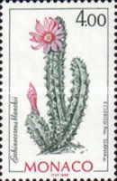 Echinocereus blanckii