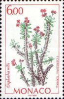 Euphorbia milii