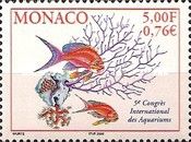 Ornamental Fish, Horn Coral, Coral Colony, Red Precious Cora