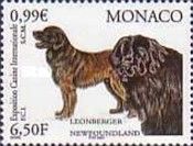 Leonberger, Newfoundland Dog (Canis lupus familiaris)