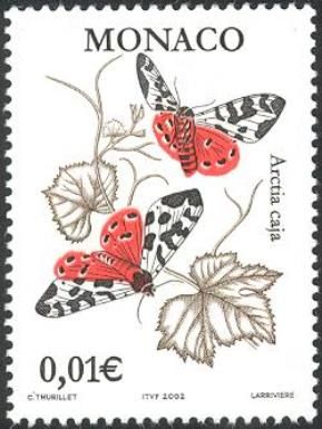 Garden Tiger Moth (Arctia caja)