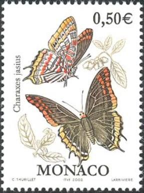 Two-tailed Pasha (Charaxes jasius)