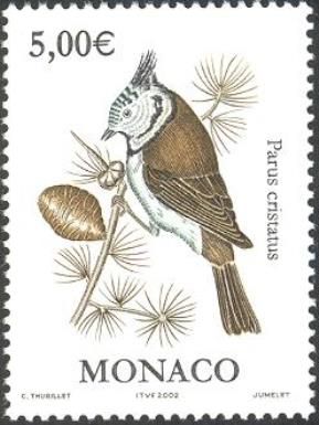 European Crested Tit (Parus cristatus)