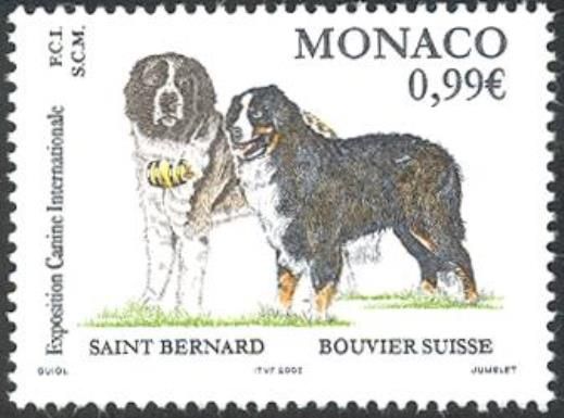Saint Bernard Dog, Swiss Mountain Dog (Canis lupus familiari