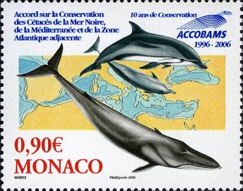 10 Years ACCOBAMS Agreement to Protect Whales