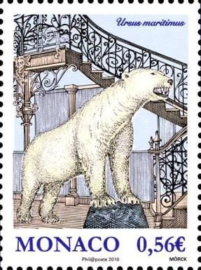 Stuffed Polar Bear (Ursus maritimus)