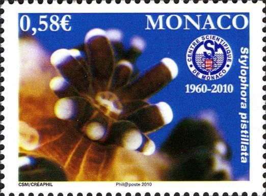 50 Years Scientific Centre of Monaco